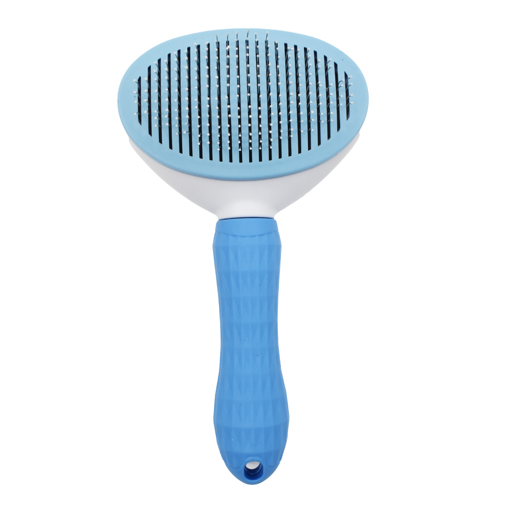 Brosse pour chien - Bleue