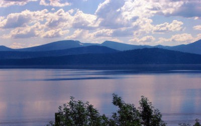 Les bienfaits prouvés de l'algue bleu-vert du lac Klamath : Une révolution pour la santé - AFA Klamath