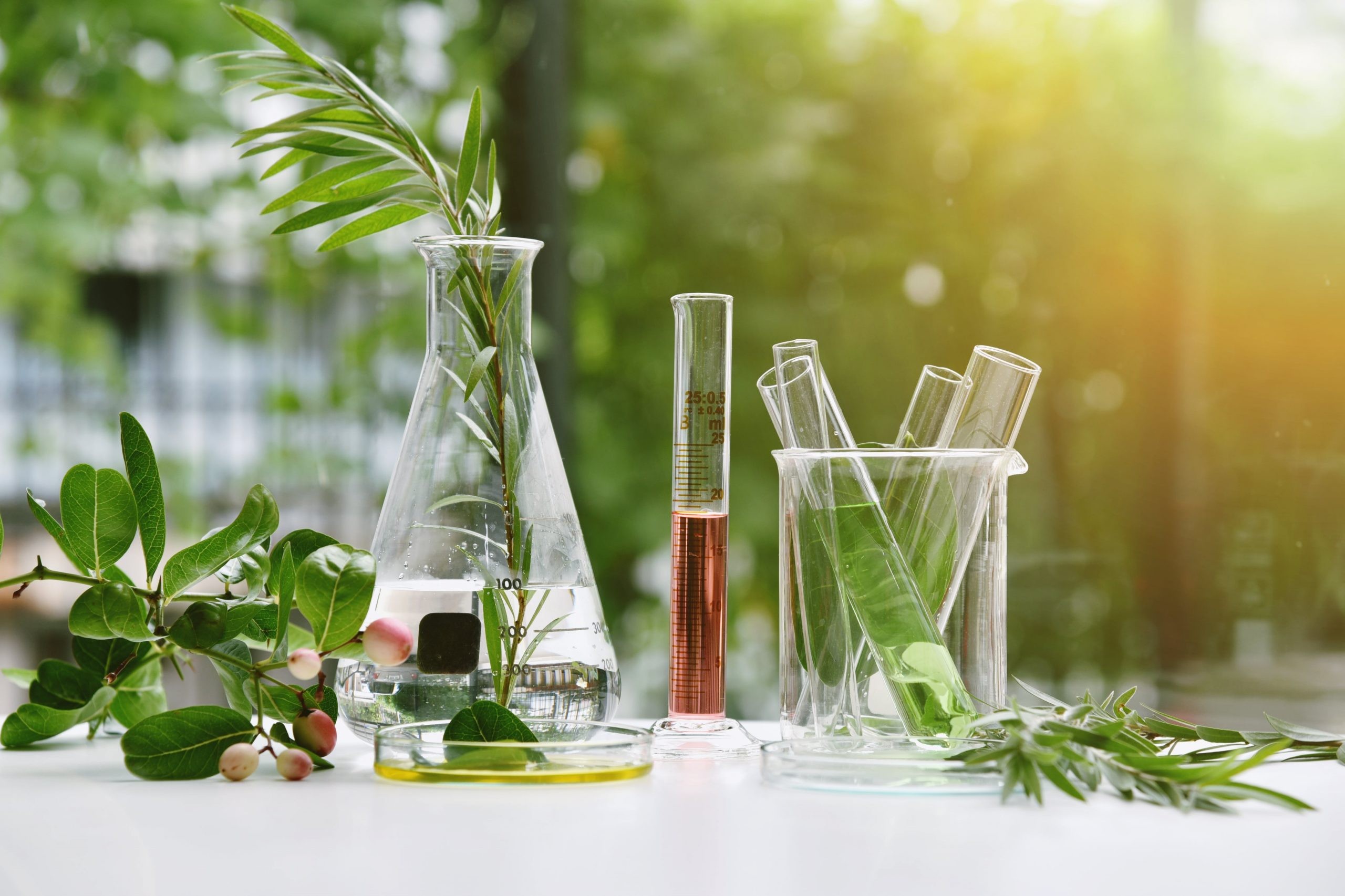 Tendances des cosmétiques naturels en 2024 : Innovation, minimalisme et éthique